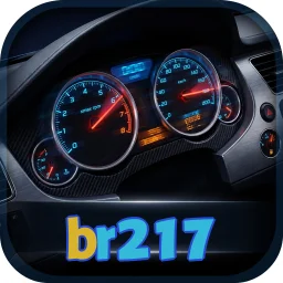 br217