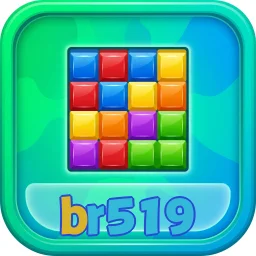 br519