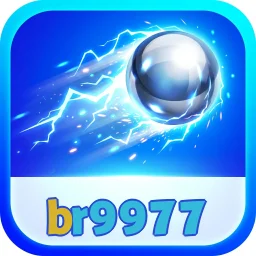 br9977