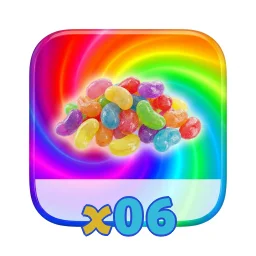 x06